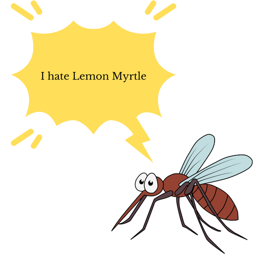 Lemon Myrtle Botanical Mist